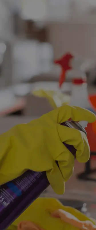 Reliable Residential & Commercial Cleaning in Saint Petersburg, FL